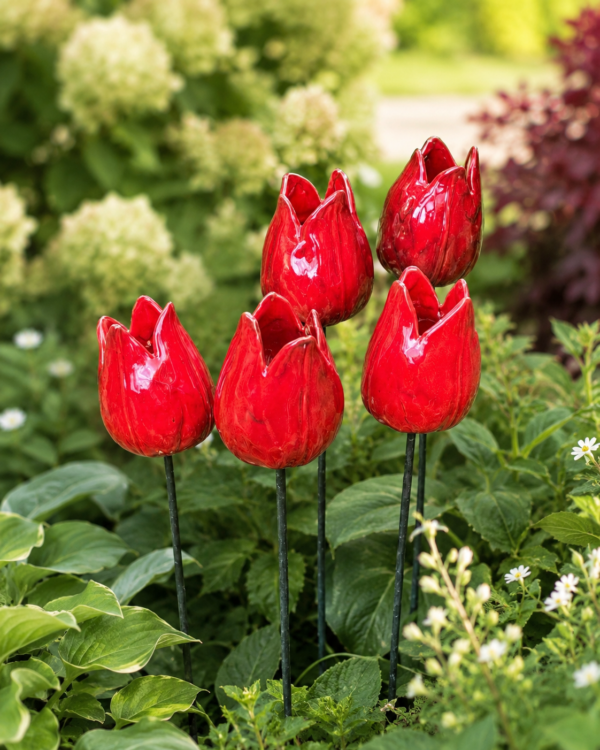 Duży Tulipan Ogrodowy Czerwony 10cm